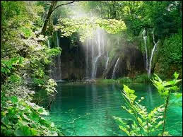 Les humains sont les seuls animaux capables de rire.