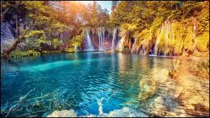 Les chats ne peuvent pas sentir le go&ucirc;t sucr&eacute;.