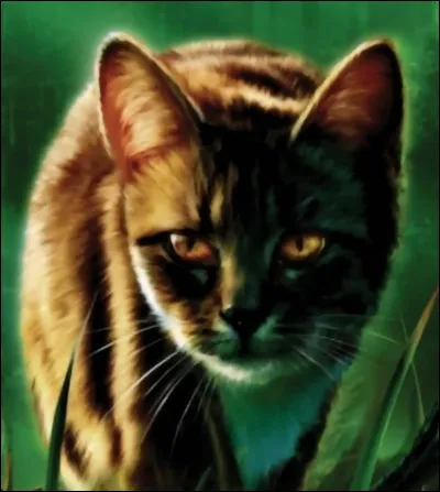 Qui est le compagnon de Brin de Soleil ?