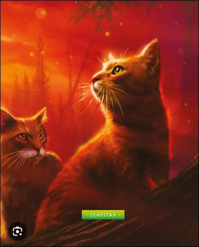 Qui Brindille aime-t-il ? (en amour)