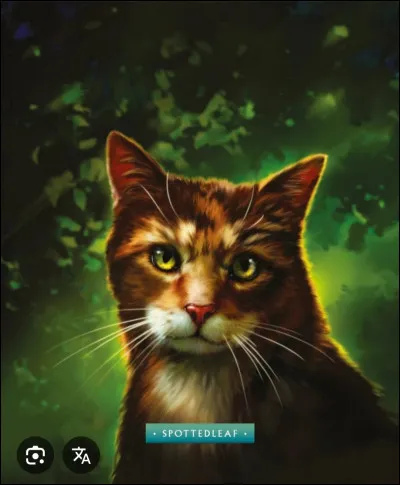 Qui Petite Feuille a-t-elle aim&eacute; ? (amour)