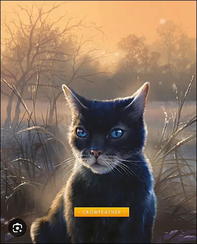 Quel est le nom de la m&egrave;re de Plume de Jais ?