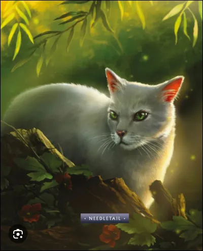 Comment se nomment les filles de C�ur de Sureau ?