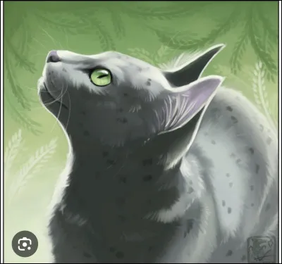 Combien de chatons ont eu Fleur de Bruy&egrave;re et Pelage de Poussi&egrave;re ?