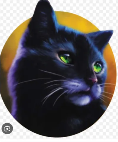 Quel est le fr&egrave;re de Nuage de Jais ?