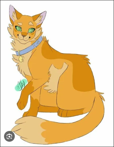 Combien Caramel a-t-il de petits ?