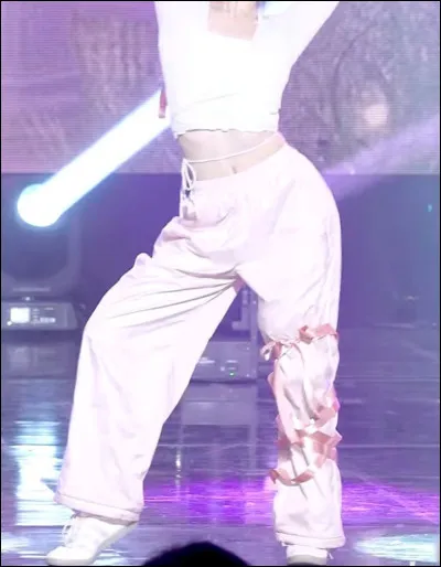 Et enfin, qui a port&eacute; cette magnifique tenue ?