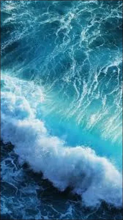 Quel terme utilise Hans Asperger pour d&eacute;crire les enfants qu'il &eacute;tudie dans les ann&eacute;es 1940 ?