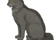 Quiz Quiz sur Plume Grise