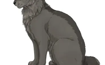 Quiz La guerre des clans