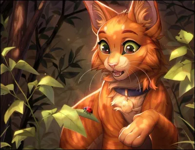 Qui est le h&eacute;ros du cycle 1 ?