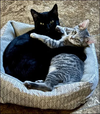 Presque fini : ne vous en faites pas ! alors, qui est le deuxi&egrave;me ami de Nuage de Feu ?