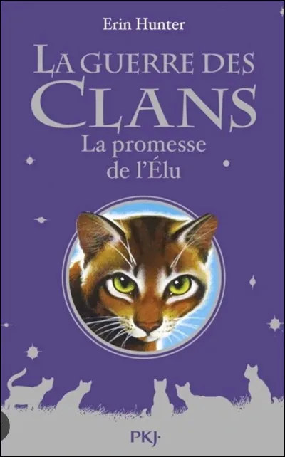 &Agrave; la fin du hors-s&eacute;rie "La promesse de l'&eacute;lu", que se passe-t-il ?