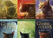 Quiz LGDC - Les couvertures des livres - Cycle 4