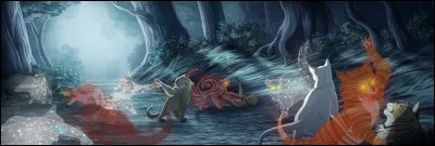 /spoil/Quel est l�&eacute;v&eacute;nement le plus marquant du cycle 4 ?