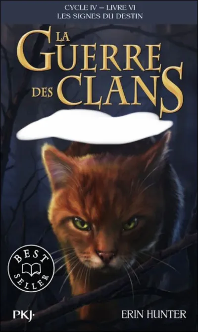 Quel est le titre de ce tome ?