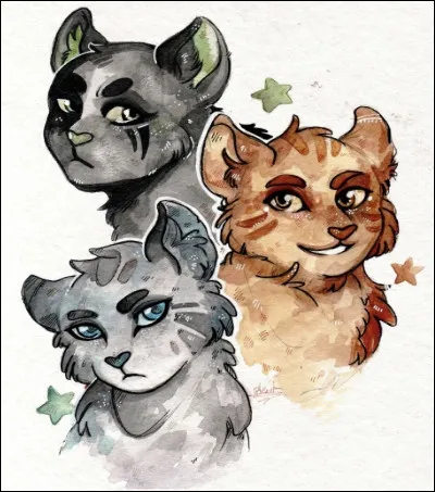 Quels sont les noms des protagonistes du cycle 4 ?