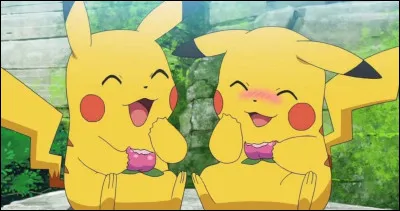 Quel est ce pok&eacute;mon !