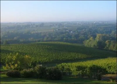 Sur quel cours d'eau produit-on un subtil vin blanc de dessert ?