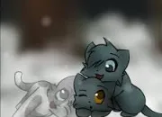 Test Lgdc partie 3 la fratrie