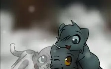 Quiz Test de personnalit�