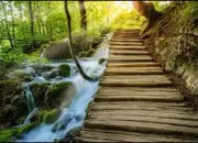 Quiz Culture g�n�rale (56)