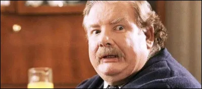 Comment s'appelle le g&eacute;ant qui vient chercher Harry pour aller &agrave; Poudlard ?