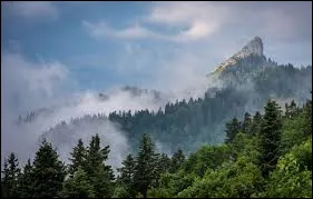 Quel peintre est c&eacute;l&egrave;bre pour ses nymph&eacute;as peints &agrave; Giverny ?
