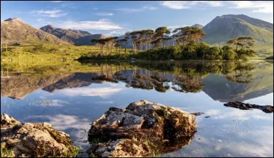 Qui a chant&eacute; &laquo;&nbsp;Les lacs du Connemara&nbsp;&raquo; pour la premi&egrave;re fois en 1981 ?