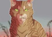 Quiz Quiz sur �toile Balafr�e