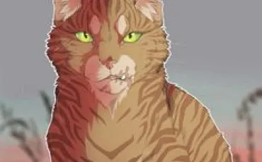 Quiz La guerre des clans