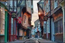 Il a gliss&eacute; sur le ___ mouill&eacute;.