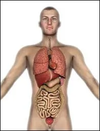Je t'aide &agrave; respirer en me contractant et me rel&acirc;chant...