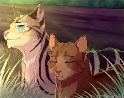 Je suis en ce moment, dans le N&eacute;ant.