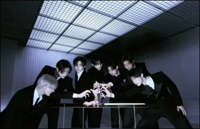 Le nom Enhypen repr&eacute;sente surtout :