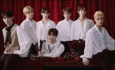 Quel membre repr&eacute;sente le mieux la transition entre deux identit&eacute;s (humaine / autre) dans le concept global ?