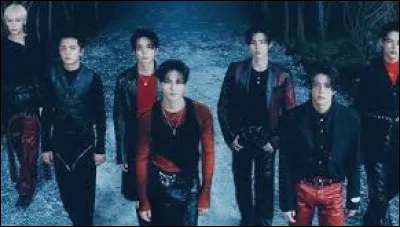 Quel contraste est le plus souvent utilis&eacute; dans leurs albums ?