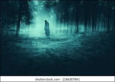 Quelle phrase te fait le plus r&eacute;agir ?