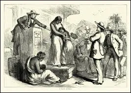 Quel type de culture &eacute;tait le plus li&eacute; &agrave; l'esclavage dans les colonies fran&ccedil;aises ?