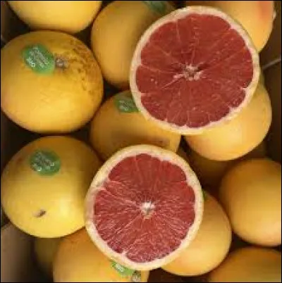 Que faut-il ajouter &agrave; "Po" pour obtenir le nom de cet agrume ?