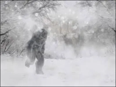 Quel pays a fond&eacute; le sanctuaire de la faune Sakteng, pour pr&eacute;server entre autres l'habitat du y&eacute;ti ?