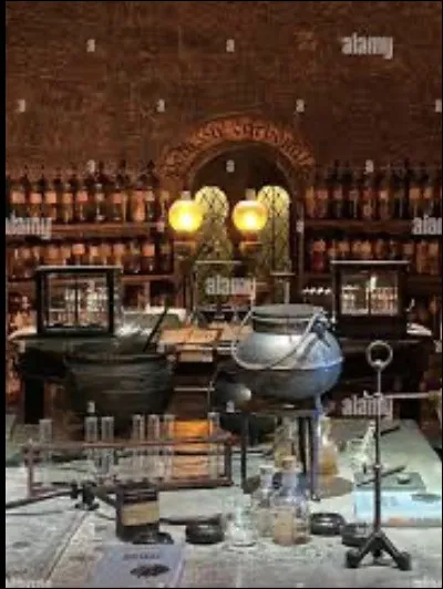 En cinqui&egrave;me ann&eacute;e des camps se forment, qui rejoins-tu ?