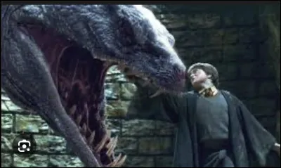 Pendant la bataille de Poudlard que fais-tu ?