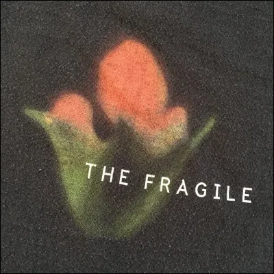 "Fragile" est un album du groupe...