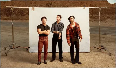 Quel groupe a fait une collaboration avec Jonas Brothers ?