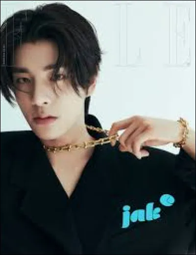 Comment d&eacute;crirais-tu Jake ?