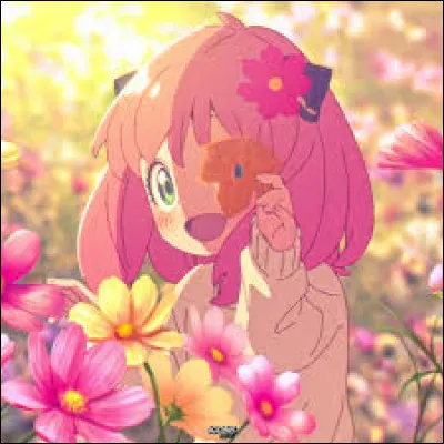 En g&eacute;n&eacute;ral, tu aimes :