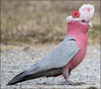 Comment nomme-t-on les personnes qui r&eacute;sident au Qu&eacute;bec ?