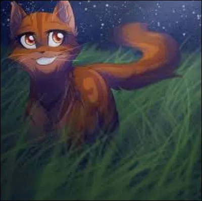 Lequel des deux a pour m&egrave;re Poil de Ch&acirc;taigne ?