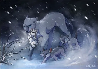 Lequel des deux a connu ou d&eacute;j&agrave; vu &Eacute;toile Bleue ?